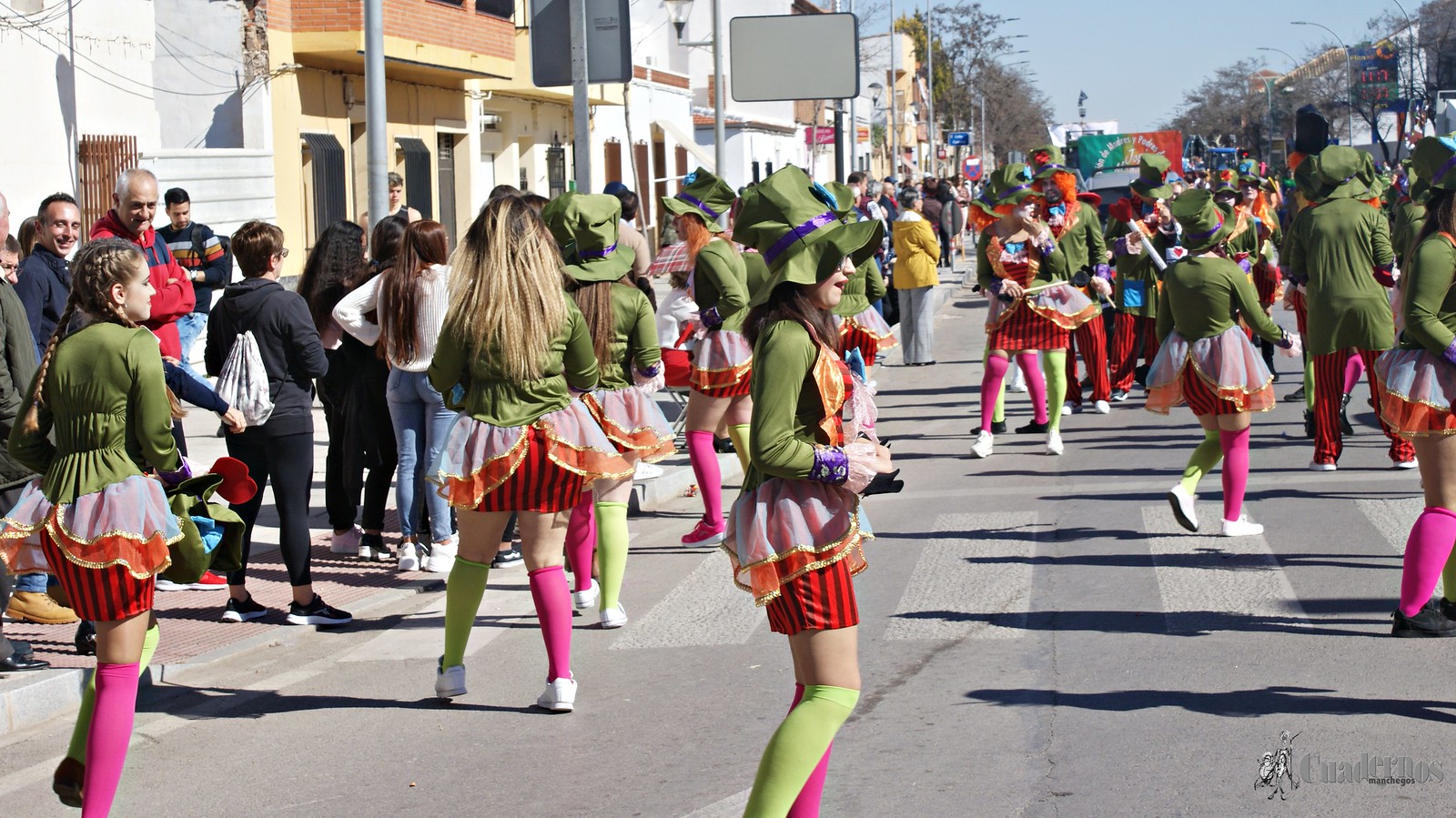 desfile-escolar-carnaval-2020-tomelloso (191)