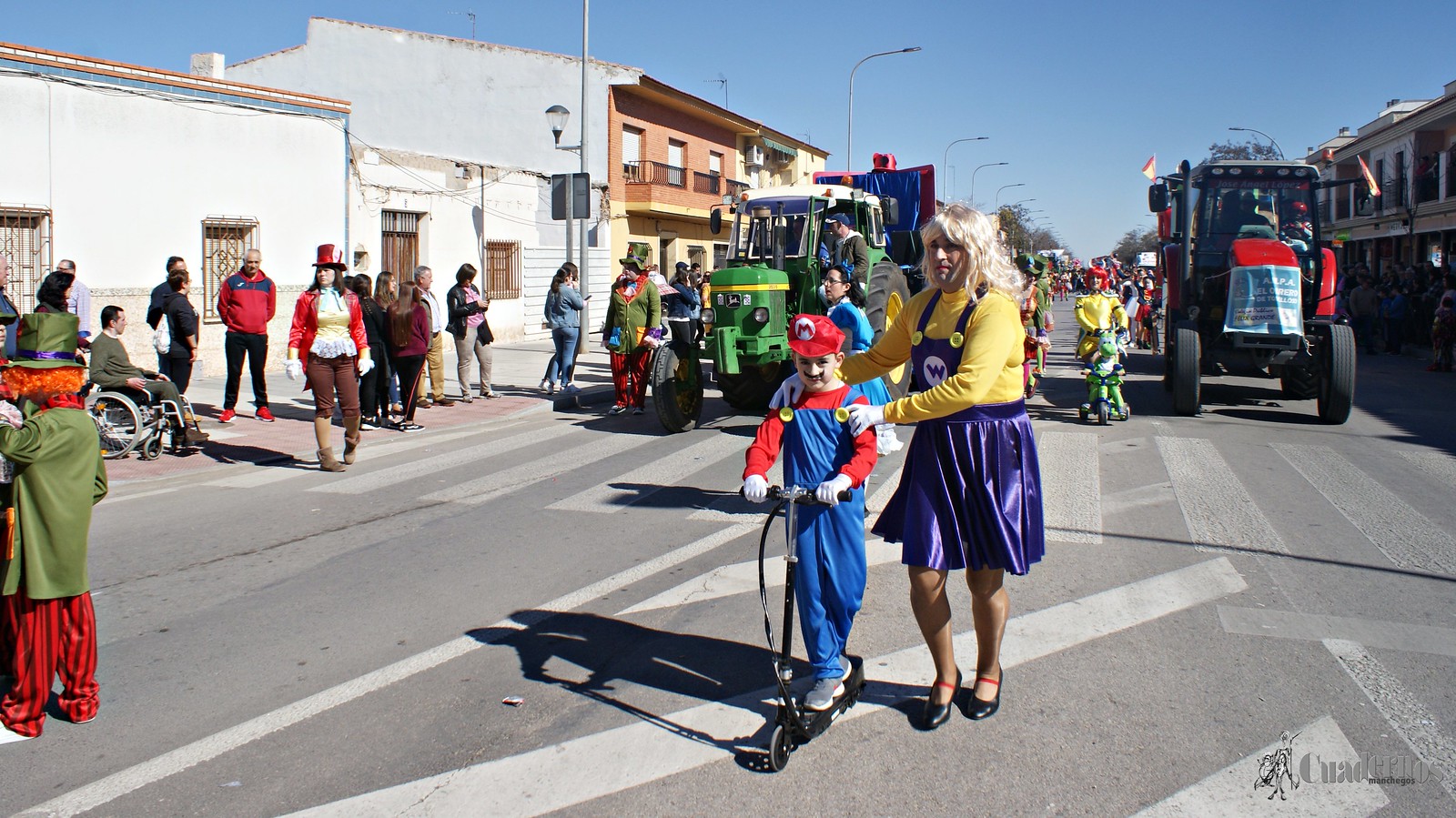desfile-escolar-carnaval-2020-tomelloso (179)