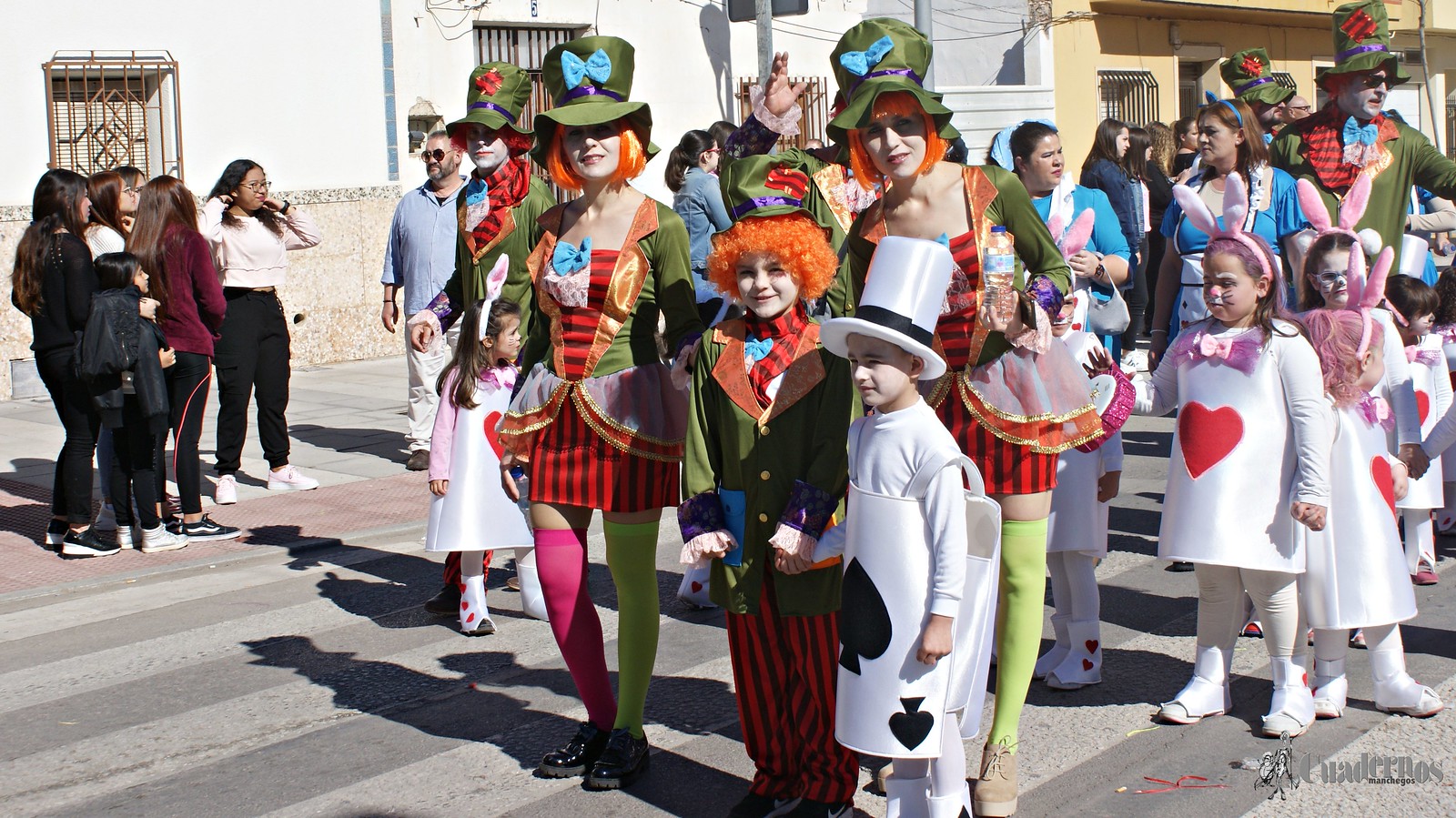 desfile-escolar-carnaval-2020-tomelloso (173)