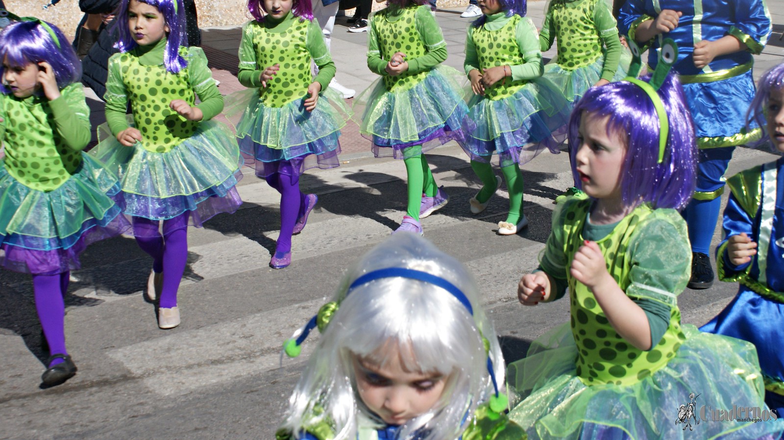 desfile-escolar-carnaval-2020-tomelloso (40)