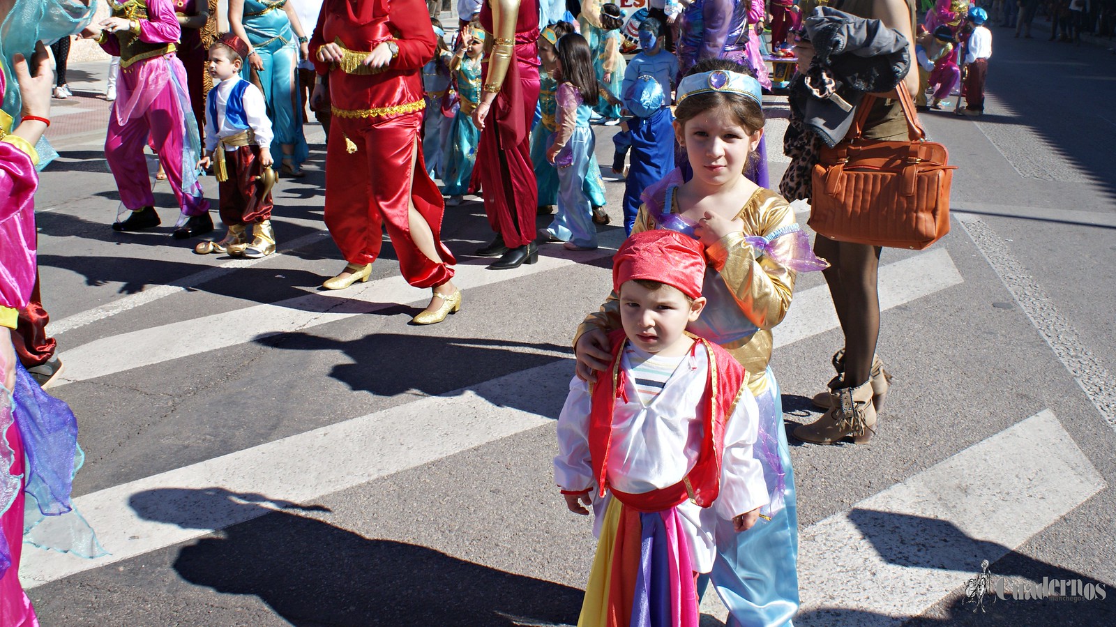 desfile-escolar-carnaval-2020-tomelloso (31)