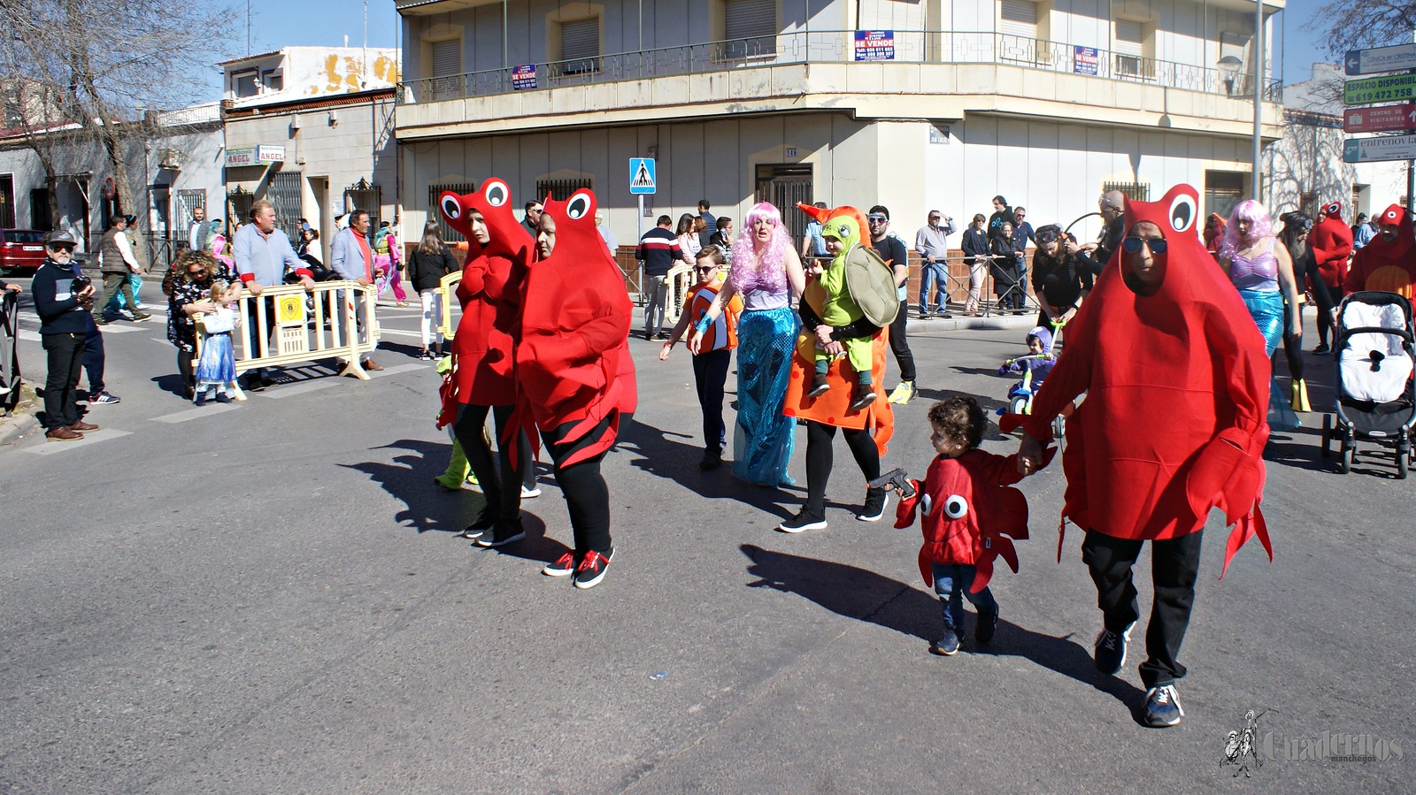 desfile-escolar-carnaval-2020-tomelloso (7)