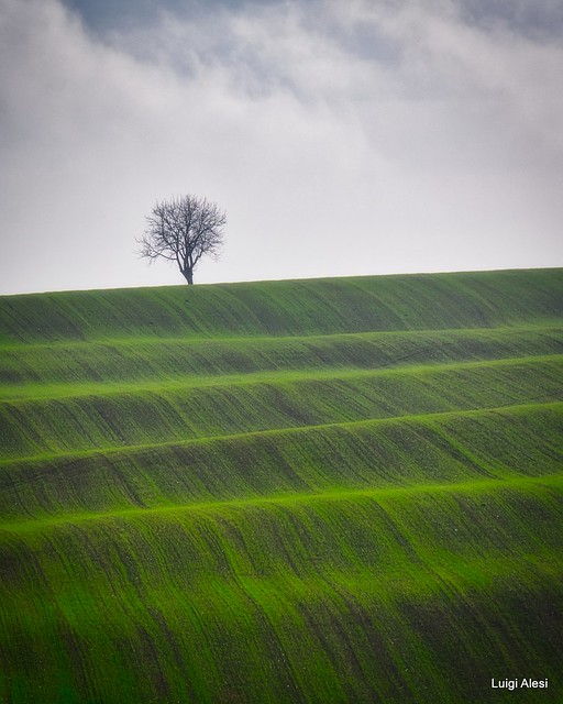 Marche countryside