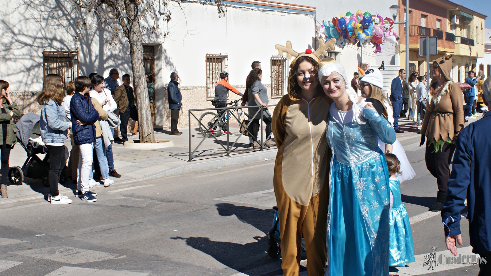 desfile-escolar-carnaval-2020-tomelloso (284)