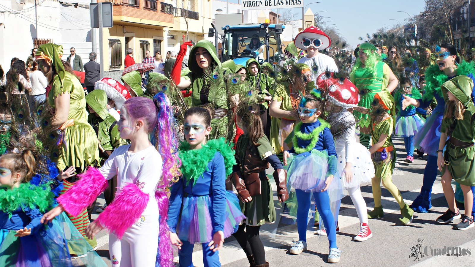 desfile-escolar-carnaval-2020-tomelloso (245)