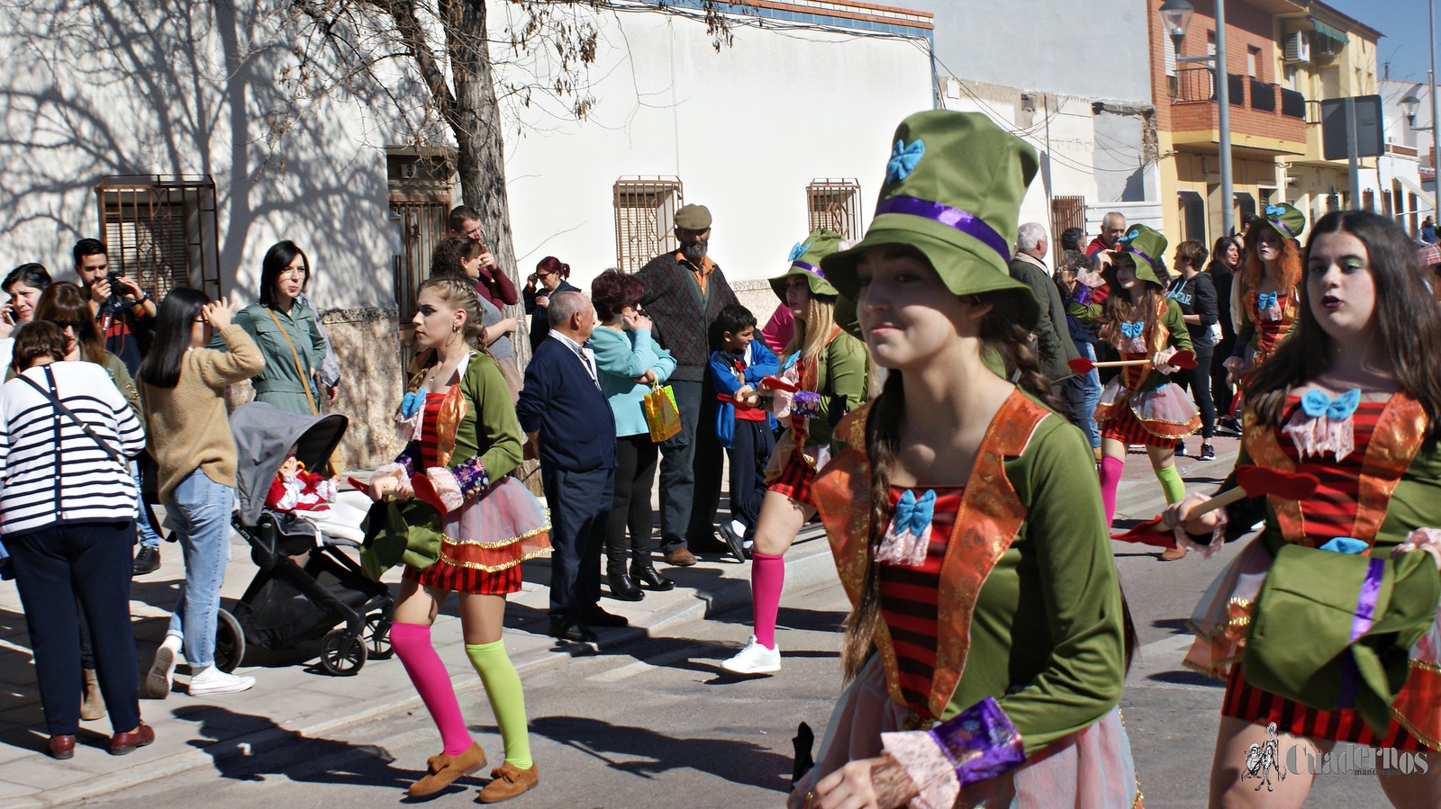 desfile-escolar-carnaval-2020-tomelloso (192)