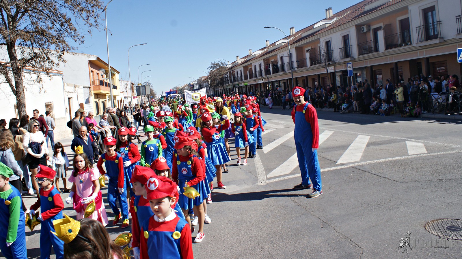 desfile-escolar-carnaval-2020-tomelloso (161)