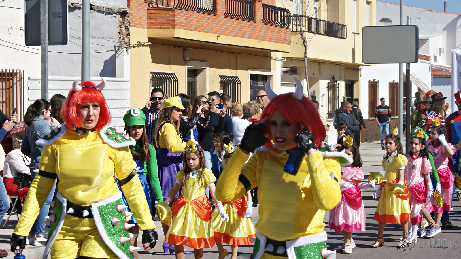 desfile-escolar-carnaval-2020-tomelloso (150)