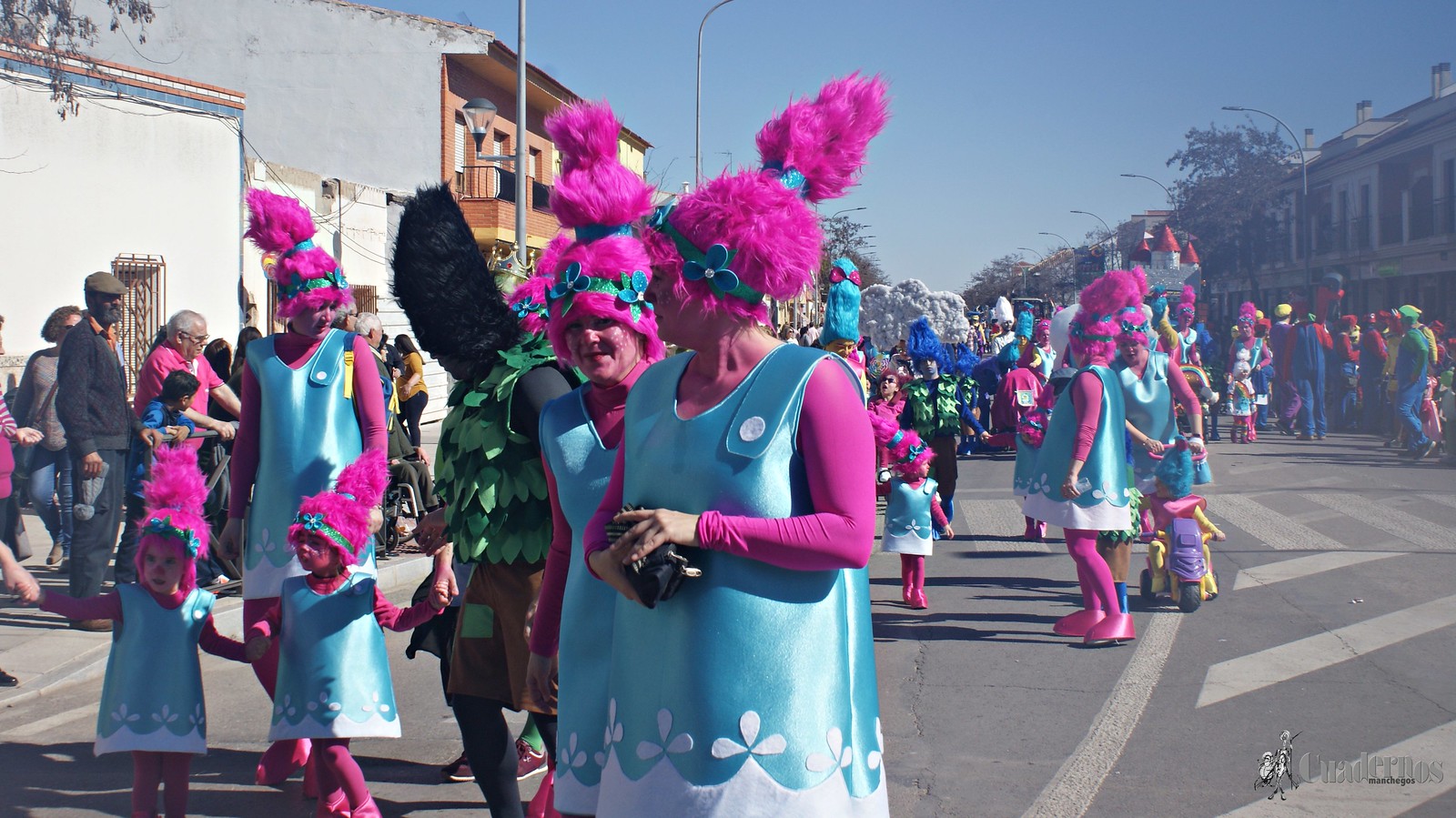 desfile-escolar-carnaval-2020-tomelloso (124)