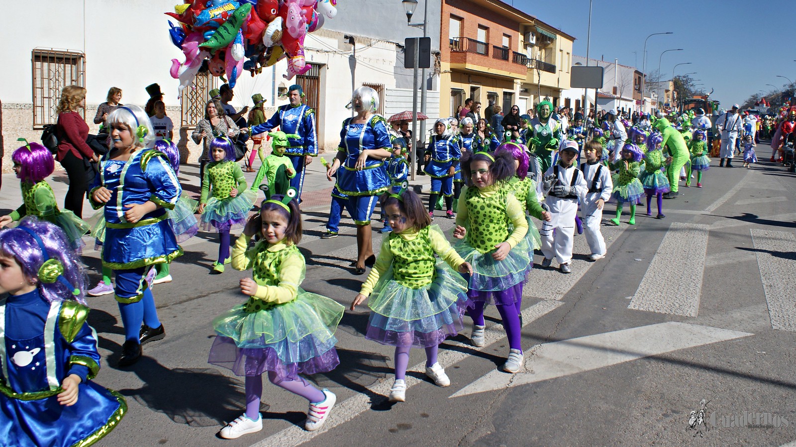 desfile-escolar-carnaval-2020-tomelloso (41)