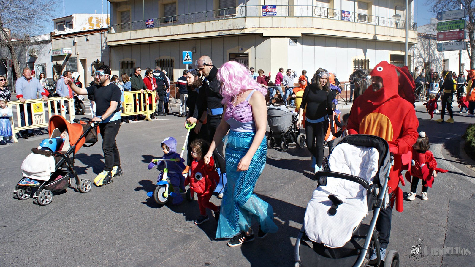 desfile-escolar-carnaval-2020-tomelloso (8)