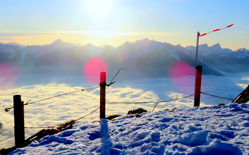 switzerland suisse schweiz rochersdenaye alps alpen alpes mountains montagne berge snow schnee neige winter hiver wind windy vent léman leman lakegeneva genfersee