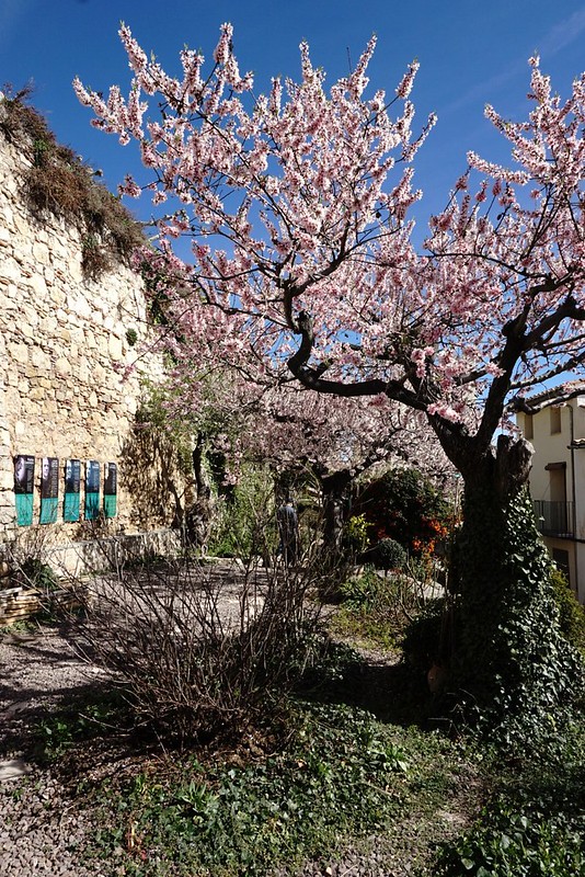 El jardí dels poetes, Morella