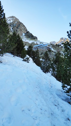 IMG_20200221_172917_1