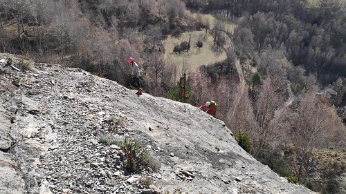 IMG_20200223_105215_1