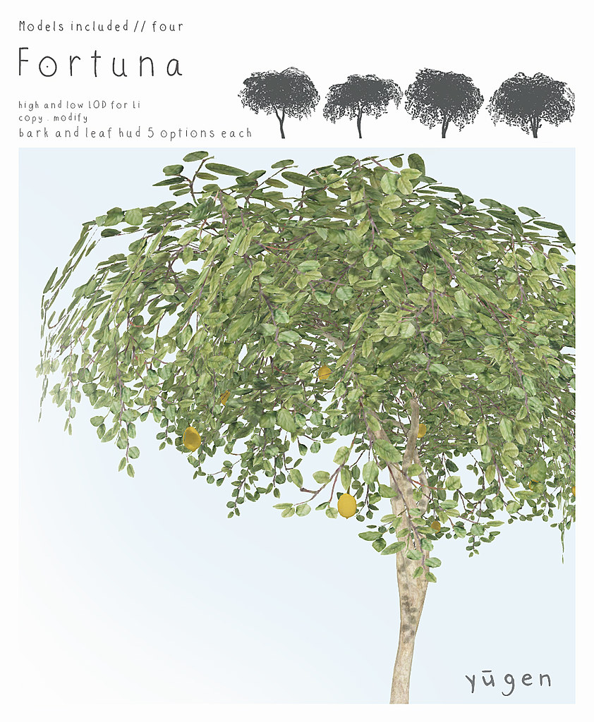 Fortuna // lemon tree