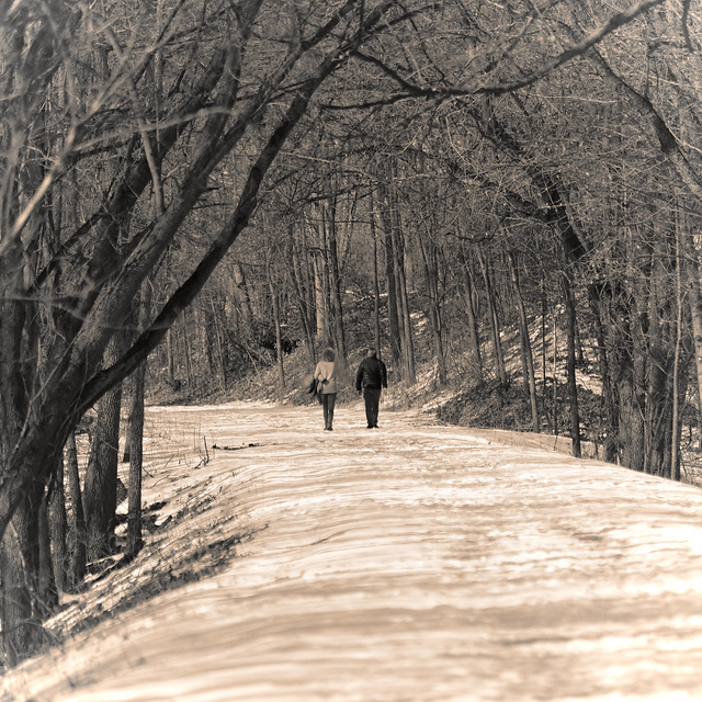 A Walk on the Snow-Covered Trail