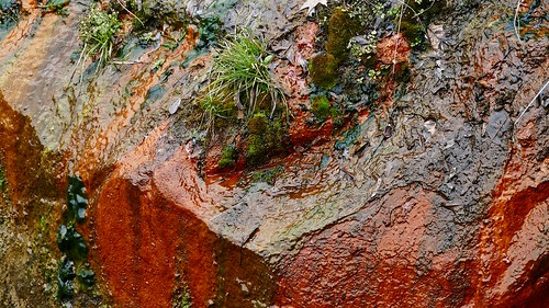 colorful texture wet moist beautiful landscape stone rock boulder red orange green black moss grass cling attached
