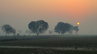 Sunrise in my Village, India