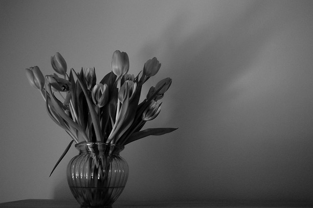 Bouquet and shadows