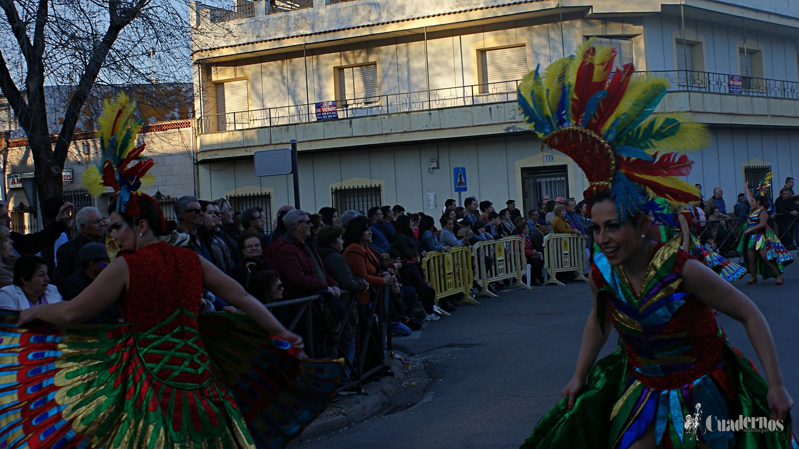 desfile-penas-carnaval-tomelloso (127)