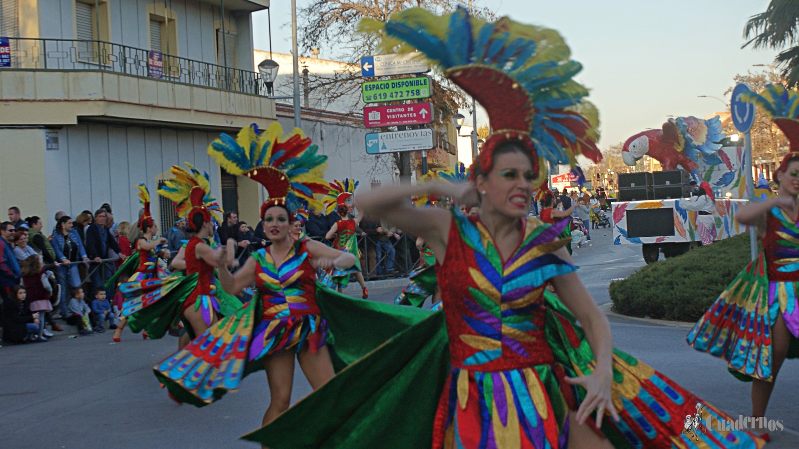 desfile-penas-carnaval-tomelloso (124)