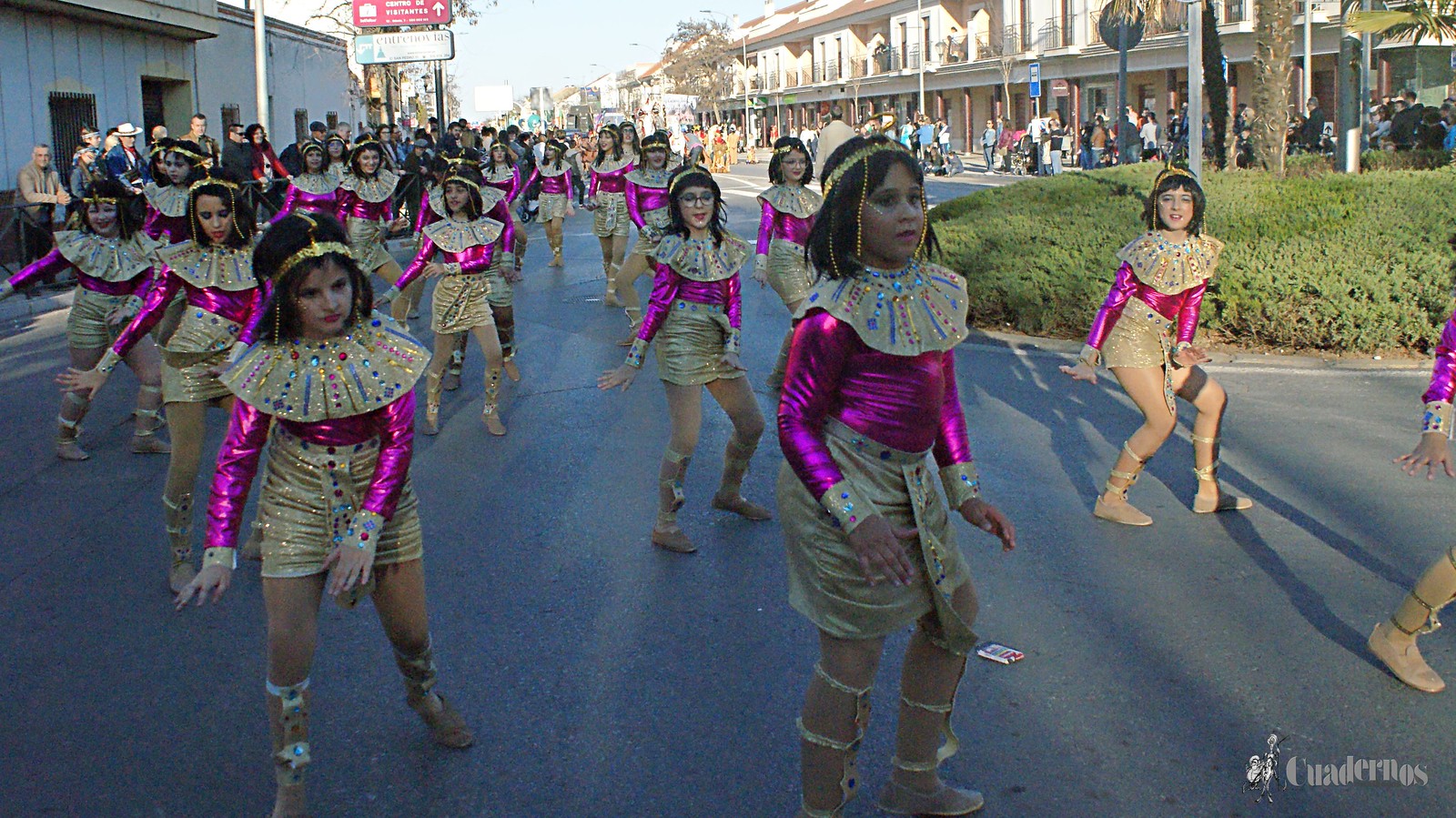 desfile-penas-carnaval-tomelloso (50)