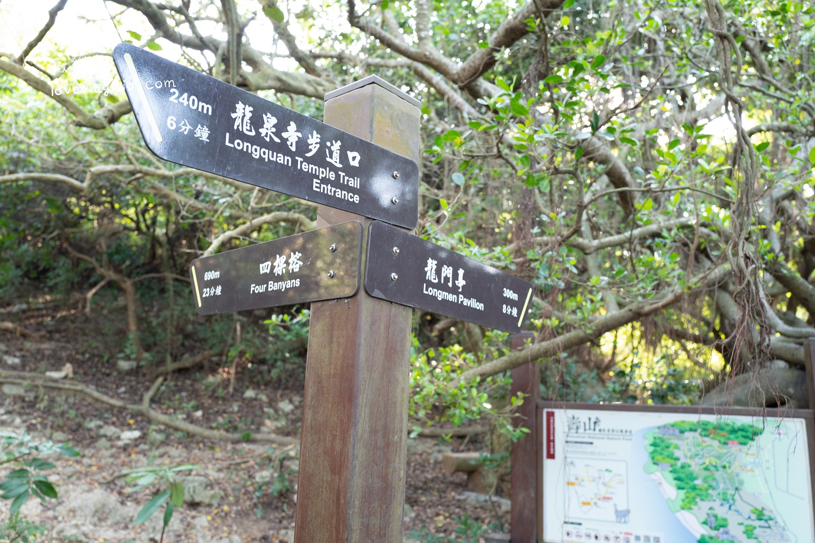 一簾幽夢,北壽山登山步道,南部登山步道,壽山秘境,柴山泰國谷,柴山登山步道,柴山秘境,高雄ig拍照景點,高雄拍照秘境,高雄景點,高雄秘境 @薇樂莉 - 旅行.生活.攝影