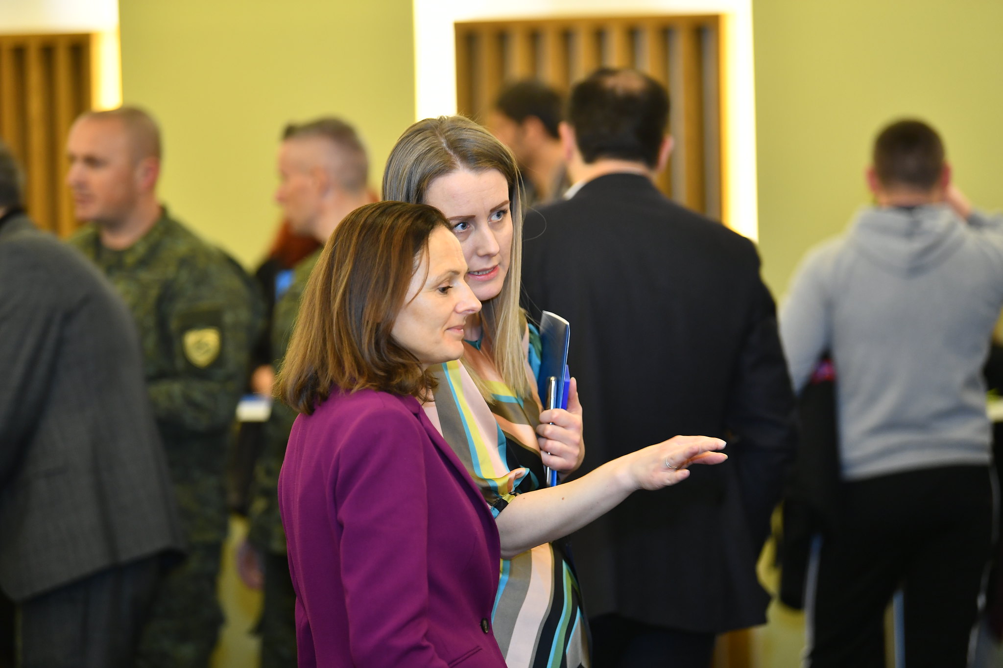 International Mother Language Day event organized by the Office of the Language Commissioner, the British Embassy Pristina and the IOM, 21 February 2020