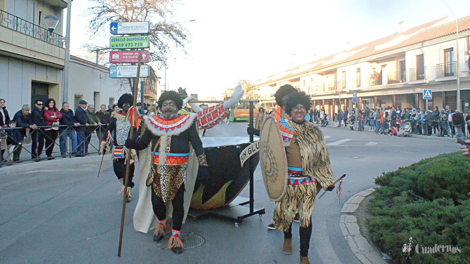 desfile-penas-carnaval-tomelloso (152)