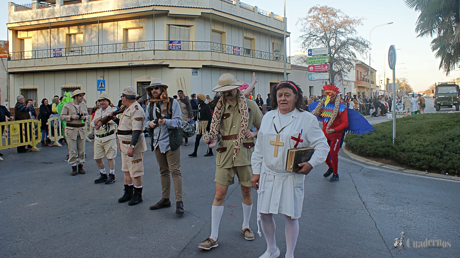 desfile-penas-carnaval-tomelloso (167)