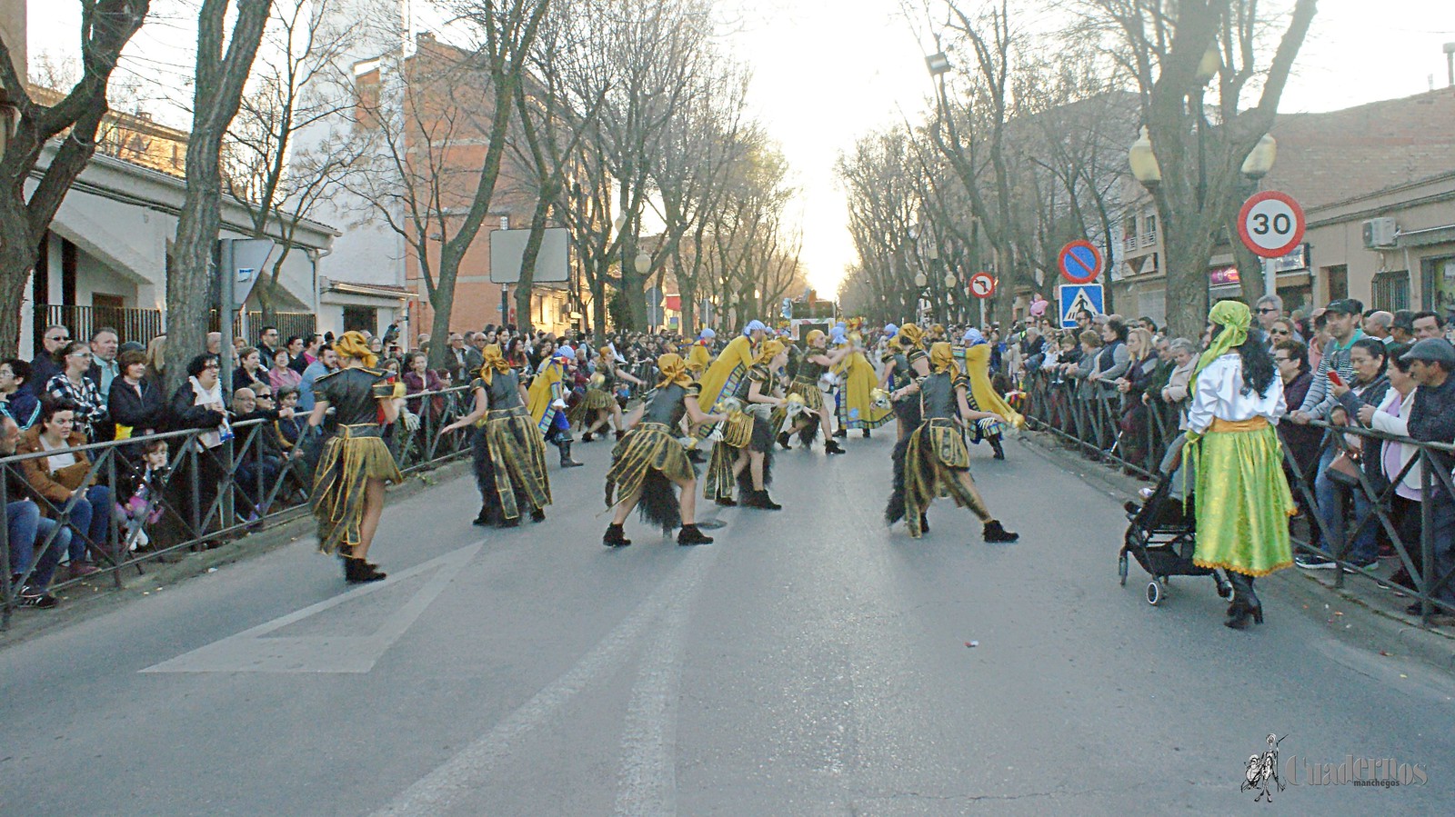 desfile-penas-carnaval-tomelloso (149)