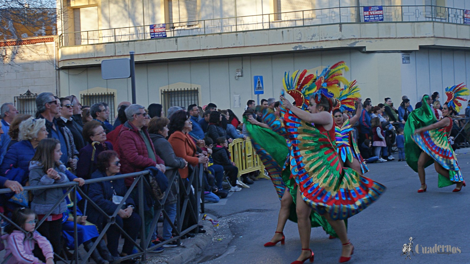 desfile-penas-carnaval-tomelloso (129)