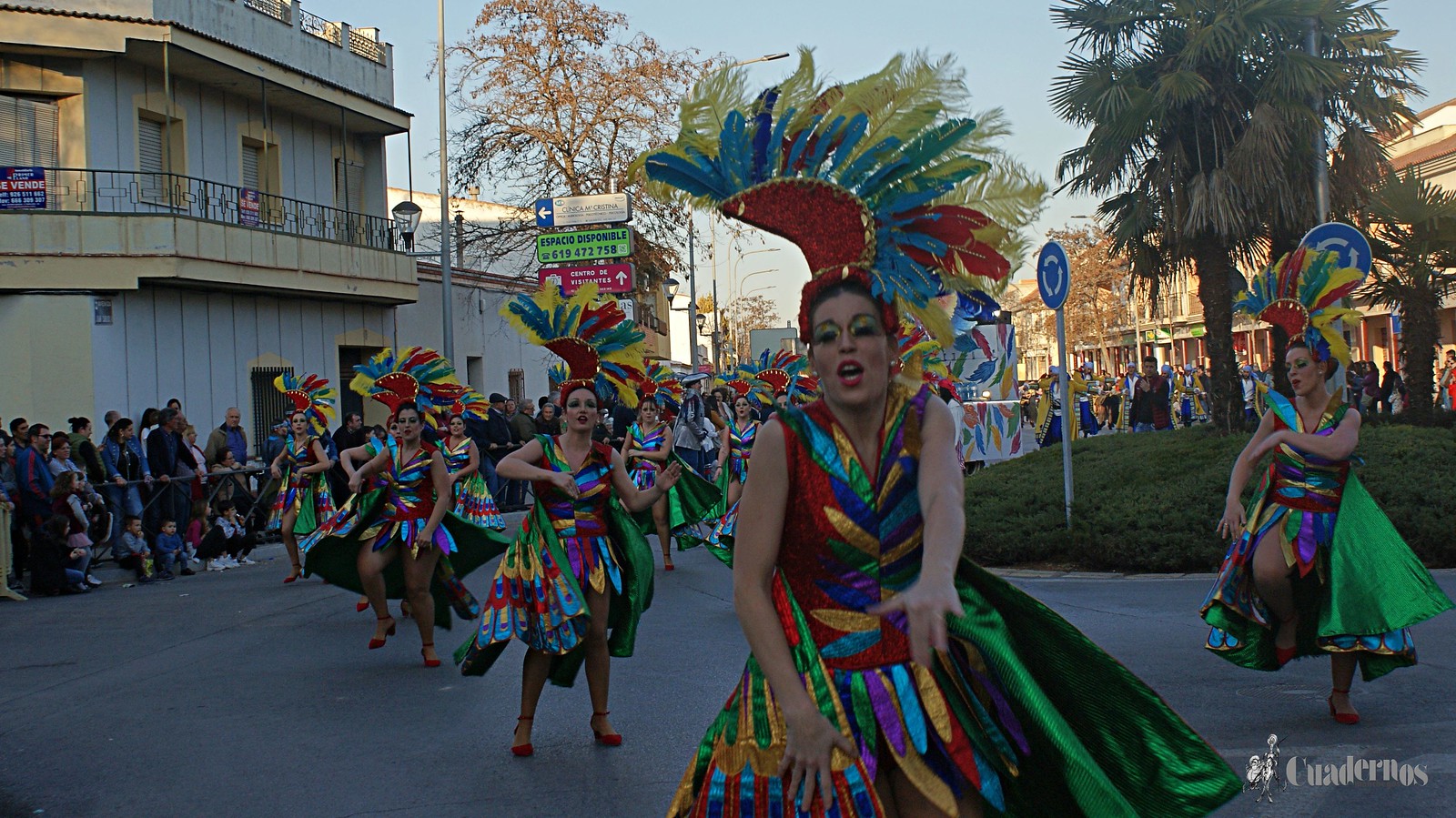 desfile-penas-carnaval-tomelloso (125)