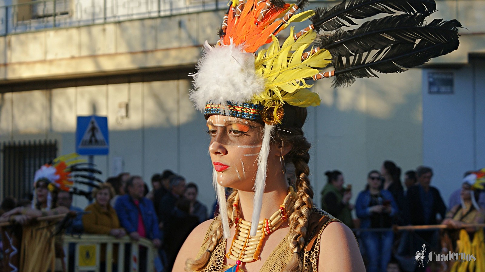 desfile-penas-carnaval-tomelloso (70)