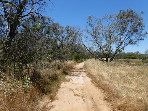 dry droog cannington canning river australia perth nature natuur nationalpark trees path pad walking landschap landscape grass gras wandelen hiking dctz90 lumix panasonic