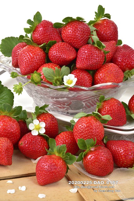 20200225-DAO_0157 草莓,紅色,台灣水果,臺灣水果,水果,蔬果,新鮮水果