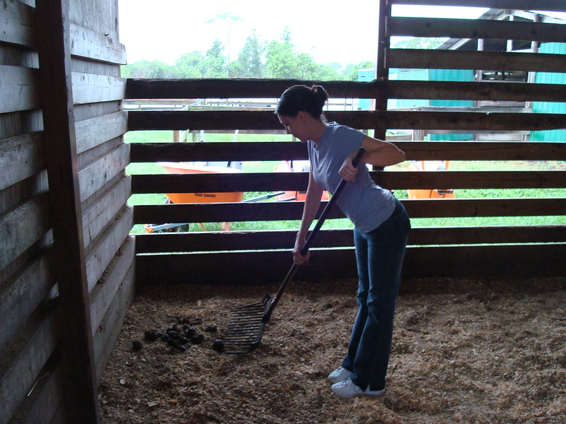 Cleaning the Stall