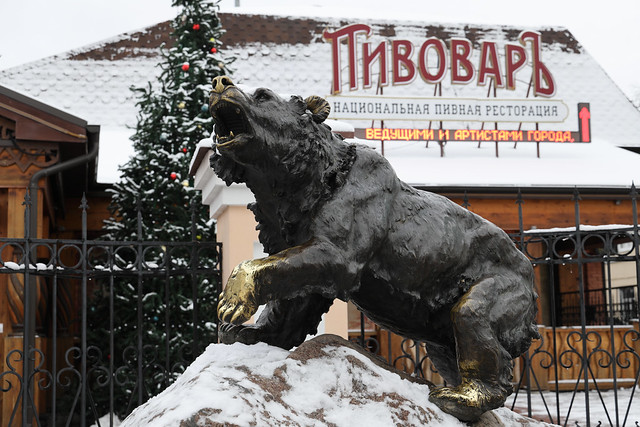 Памятник медведю / Bear - the symbol of Yaroslavl. Ярославль / Yaroslavl. Russia. AA8A6312