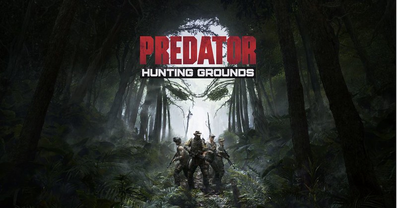 49586877818 354288851c c - Spielt Predator: Hunting Grounds schon beim Testwochenende im März