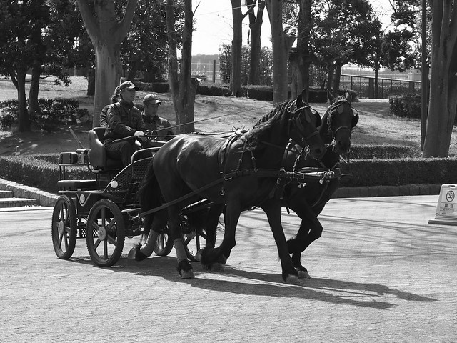 Carriage: 45mm f/4 1/1000 sec.
