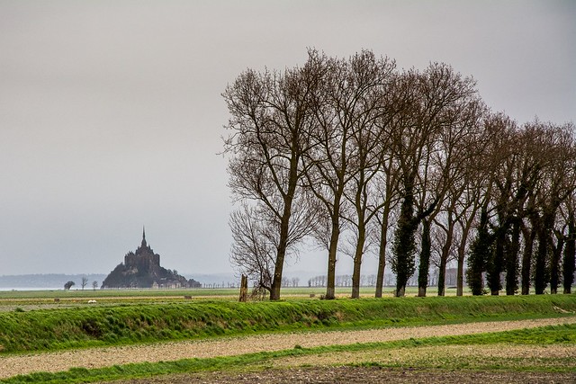 Le Mont Saint-Michel depuis les polders