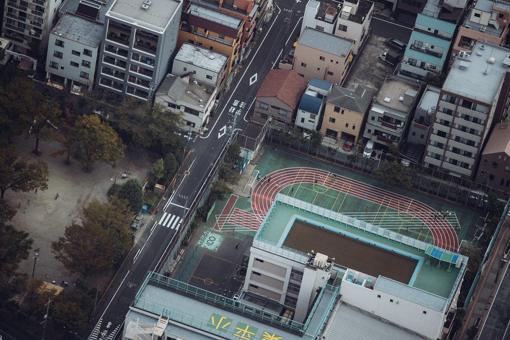 Tokyo from above