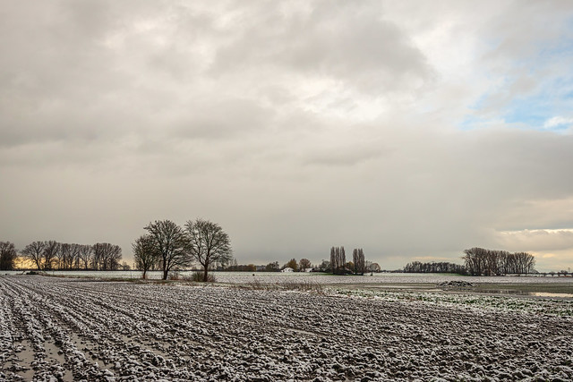 Dutch agricultural landscape in winter - Explored