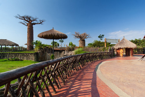 canon canonefs1018mm 1000d architecture arquitectura landscaping paisajismo zoo zoológico pereira risaralda colombia