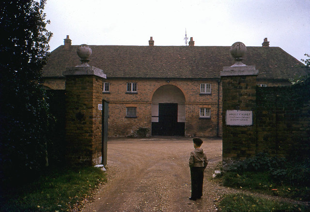 Hadley Hurst cottages, Barnet, 1950s