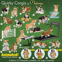 Quirky Corgis Gacha Key by Mutresse @ The Arcade - March 2020