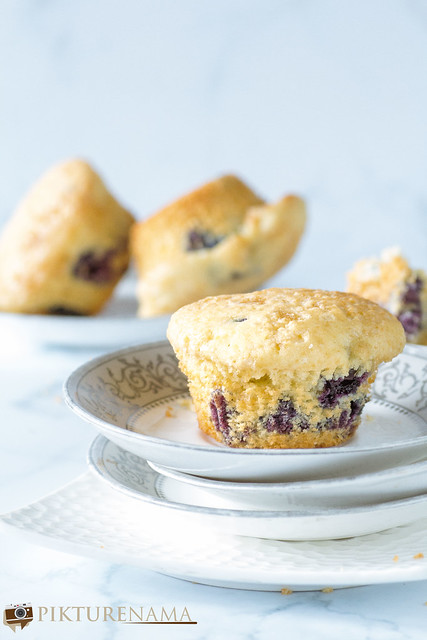 with logo Blueberry Muffins -4