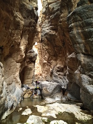 jamal canyon
