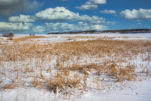 bouctouche canada flickr newbrunswick shawnharquail clouds field hay ice landscape outdoor outside panorama shawnharquailcom snow vista
